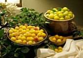 Plums & Yellow Plums