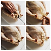 Stuffing poultry