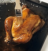 Brushing chicken with oil