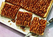 Tray-baked plum cake (datschi)