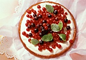 Redcurrant tart with vanilla cream