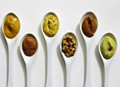 Types of Mustard on Ceramics Spoons