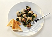Snails in Garlic Butter with Toast