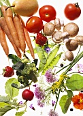 Obst; Gemüse; Kräuter & Pilze