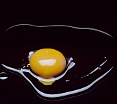 Frisch aufgeschlagenes Ei