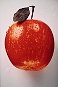 A Single Red Apple with Water Drops; Leaf