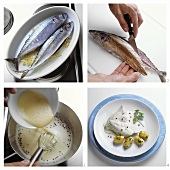 Makrelenfilets mit Pfeffersauce zubereiten