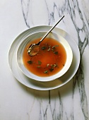 Clear Iced Bell Pepper Soup