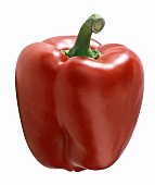 Single Red Bell Pepper