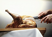 Carving a Turkey