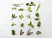 Culinary herbs from A-Z