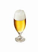 A glass of Pils
