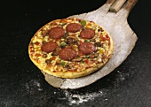 Salami_Bell Pepper Pizza on a Pizza Paddle