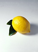 One Fresh Lemon