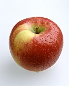 Washed Jonagold Apple