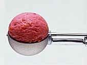 A Scoop of Raspberry Ice Cream in an Ice Cream Scooper