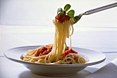 Spaghetti in Tomato Sauce and Basil