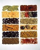 All kinds of spices