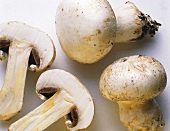 Whole and Cut Button Mushrooms