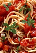 Spaghetti all' amatriciana (spaghetti with bacon sauce, Italy)