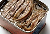 Pickled Anchovy Fillet in a Can