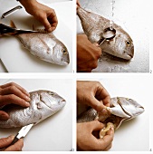 Preparing fish