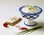 Cottage Cheese in Blue Bowl
