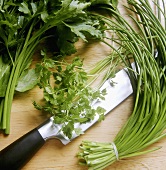 Various herbs (for mayonnaise) on chopping board