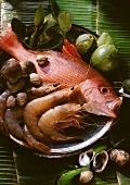 Raw Red Snapper, Shrimp and Clams: Still Life