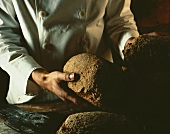 Baker examines Whole-Grain Bread