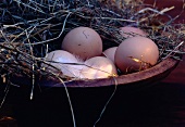 Eggs in Bowl with Hay and Feather