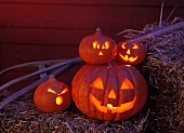 Carved Pumpkins to Halloween