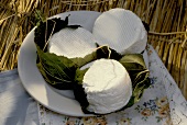 Goat Cheese Wrapped in Leaves