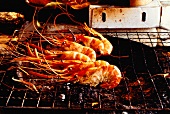 Several Shrimp on the Grill