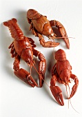 Three boiled crayfish
