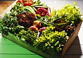 Eine Kiste mit Salaten; Gemüse & Obst