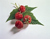 Raspberries