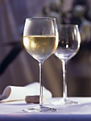 Leeres & volles Glas Weißwein