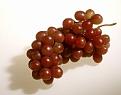 A Bunch of Cardinal Red Grapes