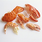 Various parts of a lobster