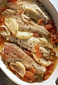 Gurnard with fennel & tomatoes