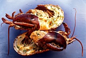 Stuffed & grooved lobster on blue plate