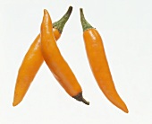 Three Orange Chili Peppers