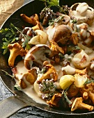 Chanterelle Mushrooms with Shallots; Cream Sauce
