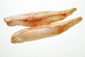Two Anglerfish Fillets