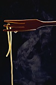 Single Strand of Steaming Spaghetti on Fork