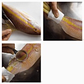 Scaling fish