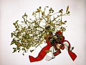 Mistletoe with Ribbon