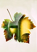 A Glass and Bottle of Wine Reflected in a Vine Leaf