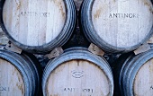 Weinfässer bei Antinori, dem legendären toskanischen Weinhaus